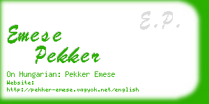 emese pekker business card